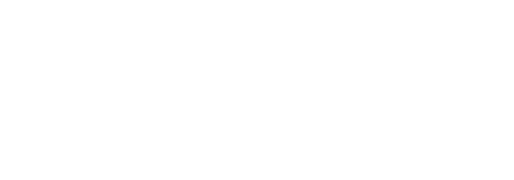 BORGA Steel Buildings and Components